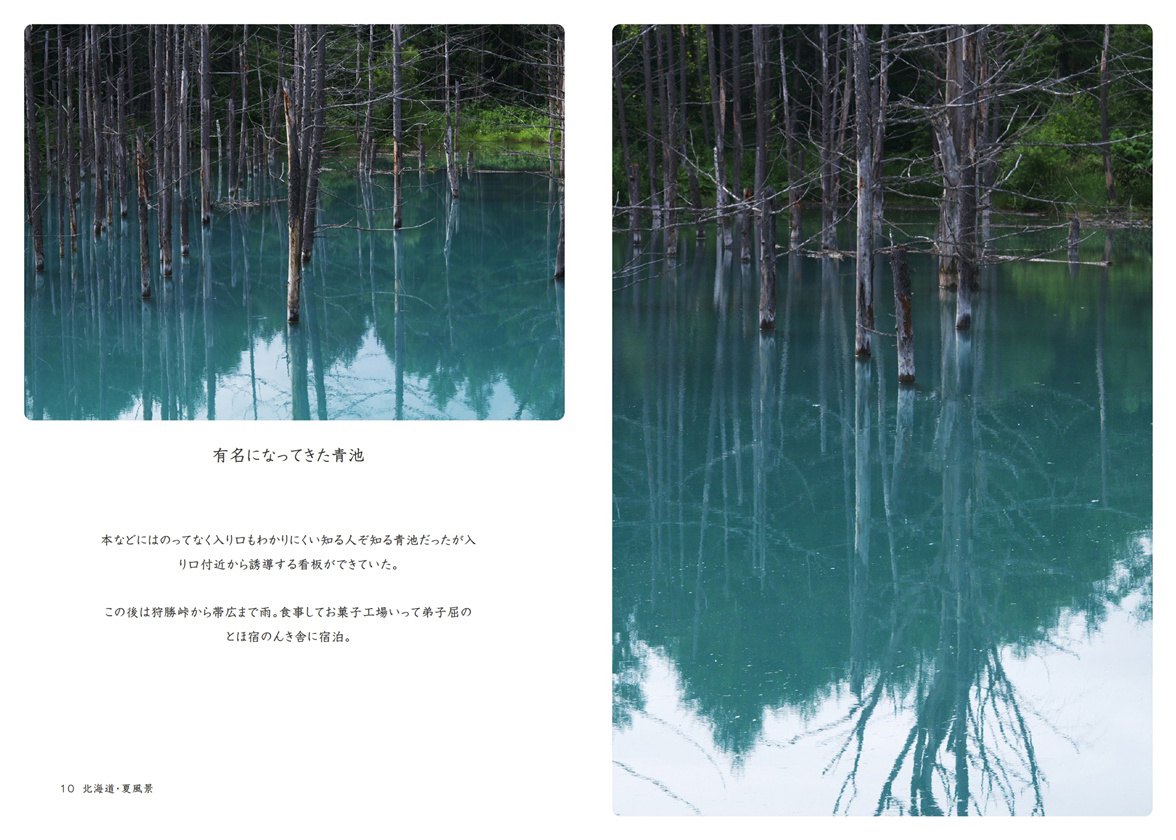 北海道　風景画　『春の息吹』 北海道 風景画 『春の息吹』 北海道 風景画 『春の息吹』