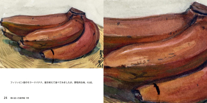 spread-24.jpg