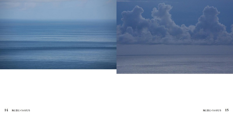 作 山 コージの作品 「海と空とイルカたち」 | フォトブック・フォト