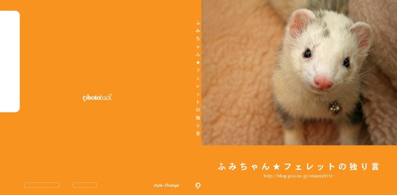 ふみちゃんの作品 「ふみちゃん☆フェレットの独り言」 | フォトブック