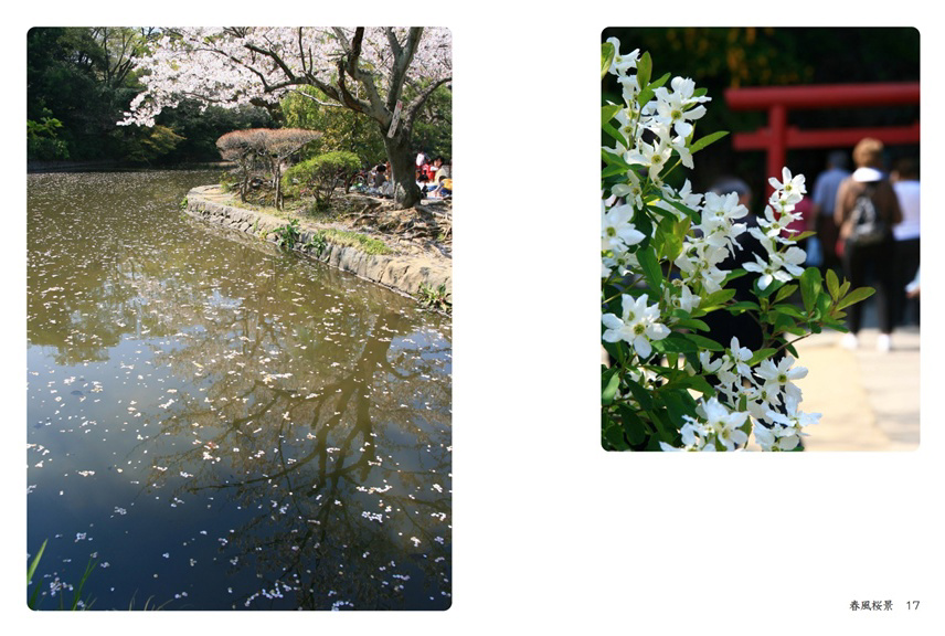 kisaragiの作品 「春風桜景」 | フォトブック・フォト（写真