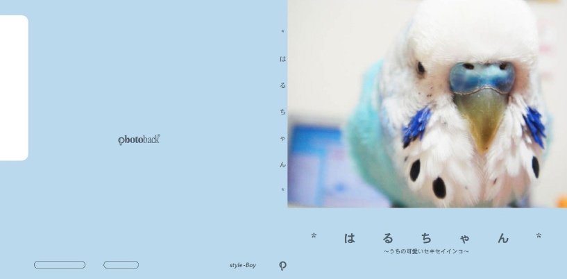 ほしぺんの作品 「*はるちゃん*」 | フォトブック・フォト（写真