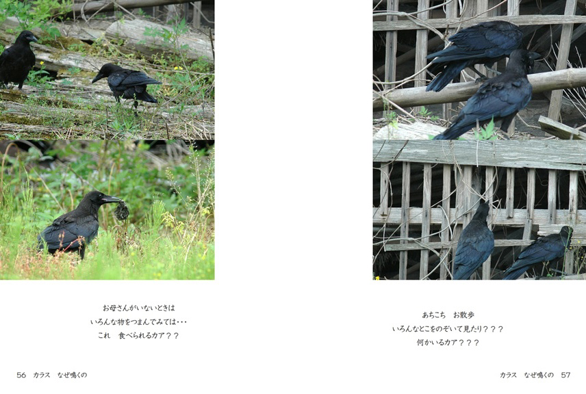 カラスとよる kuropuukoの作品 「カラス なぜ鳴くの」 | フォトブック・フォト（写真