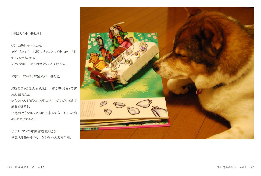 おネコ様だ38 【公式通販】