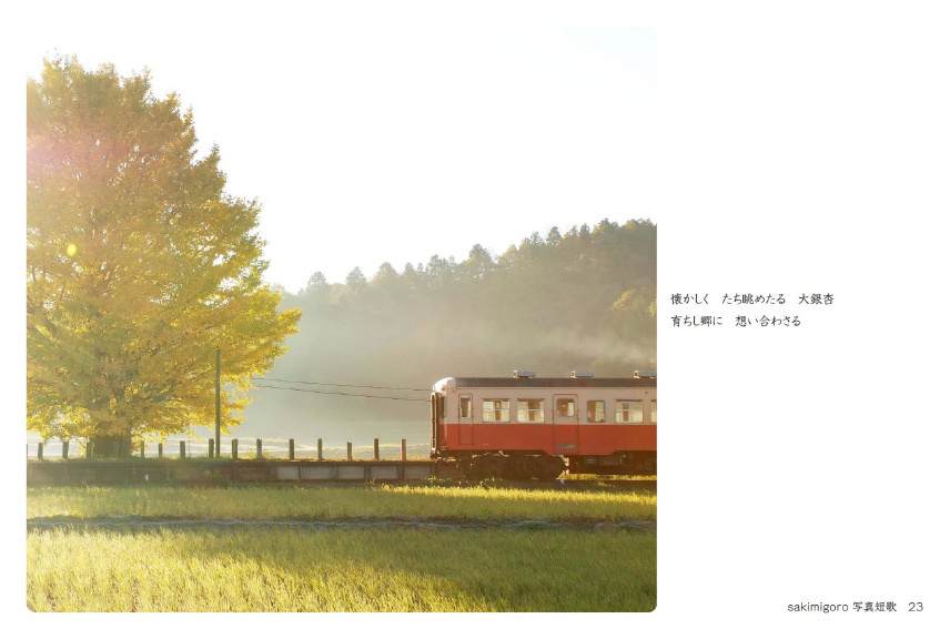 向野桜の作品 「sakimigoro 写真短歌」 | フォトブック・フォト