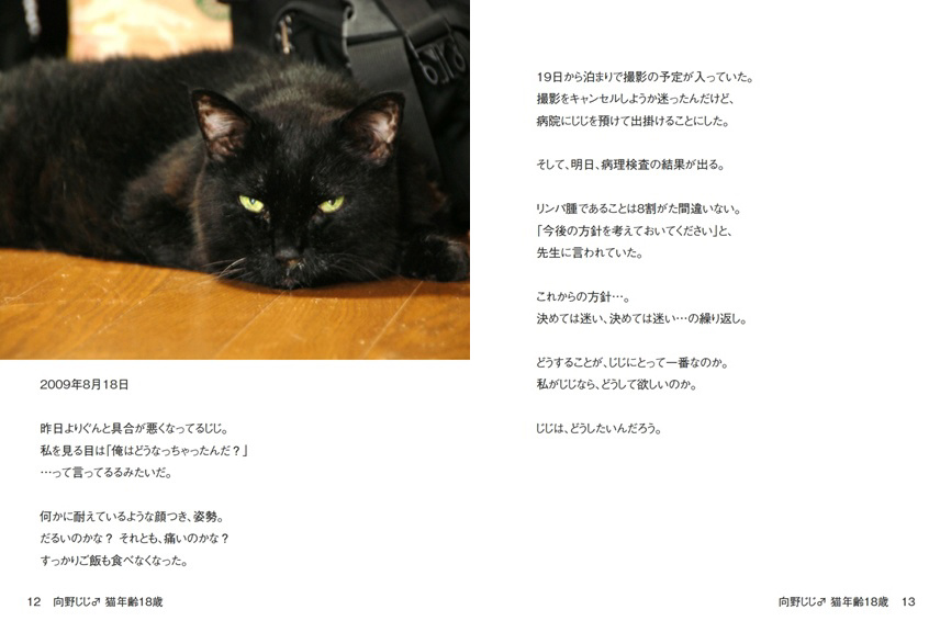 向野桜の作品 「向野じじ♂ 猫年齢18歳」 | フォトブック