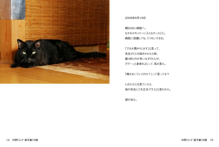 向野桜の作品 「向野じじ♂ 猫年齢18歳」 | フォトブック