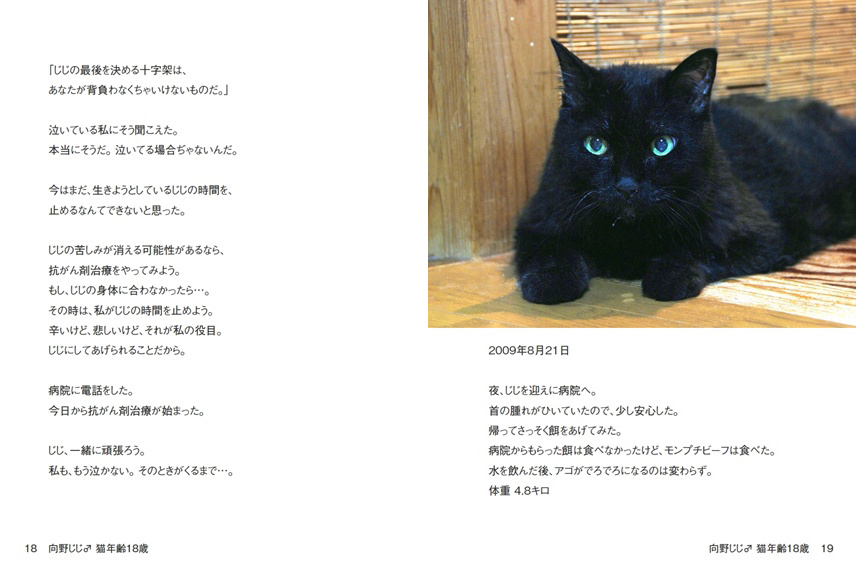 向野桜の作品 「向野じじ♂ 猫年齢18歳」 | フォトブック