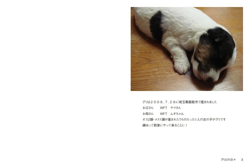 ⚠むぎちゃん様占用⚠ 進ん