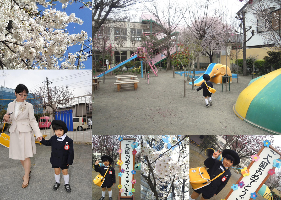 juju*の作品 「入園式」 | フォトブック・フォト（写真）アルバム作成