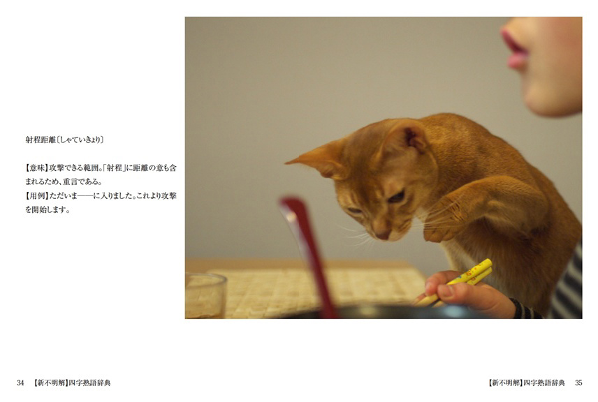 kikumimicの作品 「【新不明解】四字熟語辞典」 | フォトブック kikumimicの作品 「【新不明解】四字熟語辞典」 | フォトブック