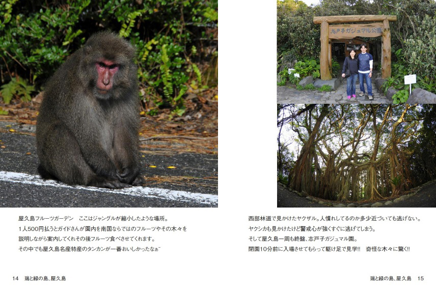 judyxxxの作品 「瑞と緑の島、屋久島」 | フォトブック・フォト（写真