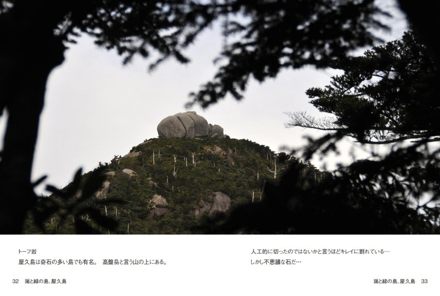 judyxxxの作品 「瑞と緑の島、屋久島」 | フォトブック・フォト（写真
