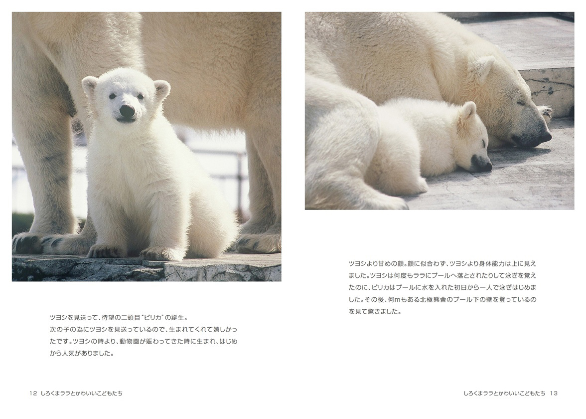 kazumiの作品 「しろくまララとかわいいこどもたち」 | フォトブック