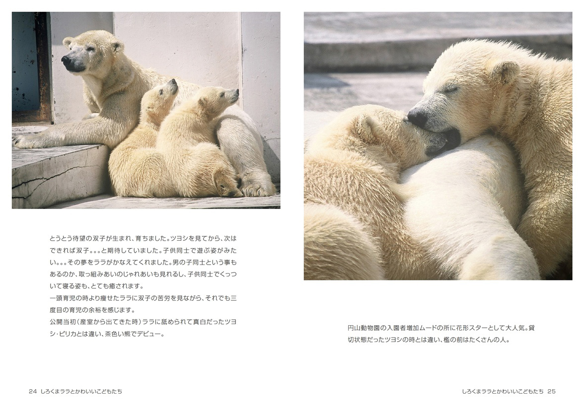 しろくまページ kazumiの作品 「しろくまララとかわいいこどもたち」 | フォト