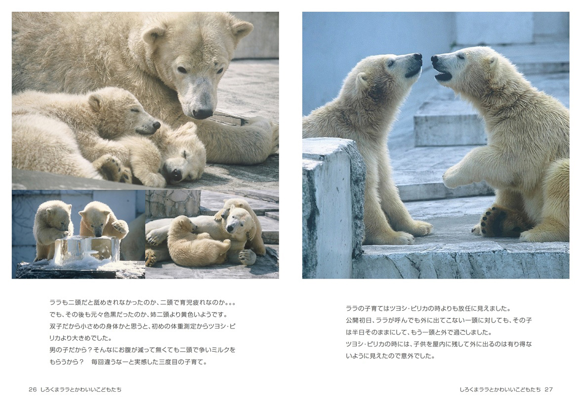 kazumiの作品 「しろくまララとかわいいこどもたち」 | フォトブック