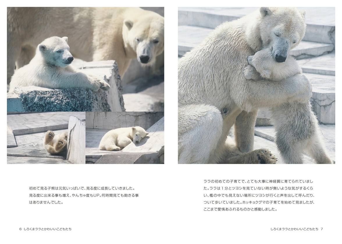kazumiの作品 「しろくまララとかわいいこどもたち」 | フォトブック