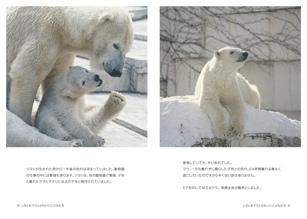 kazumiの作品 「しろくまララとかわいいこどもたち」 | フォトブック