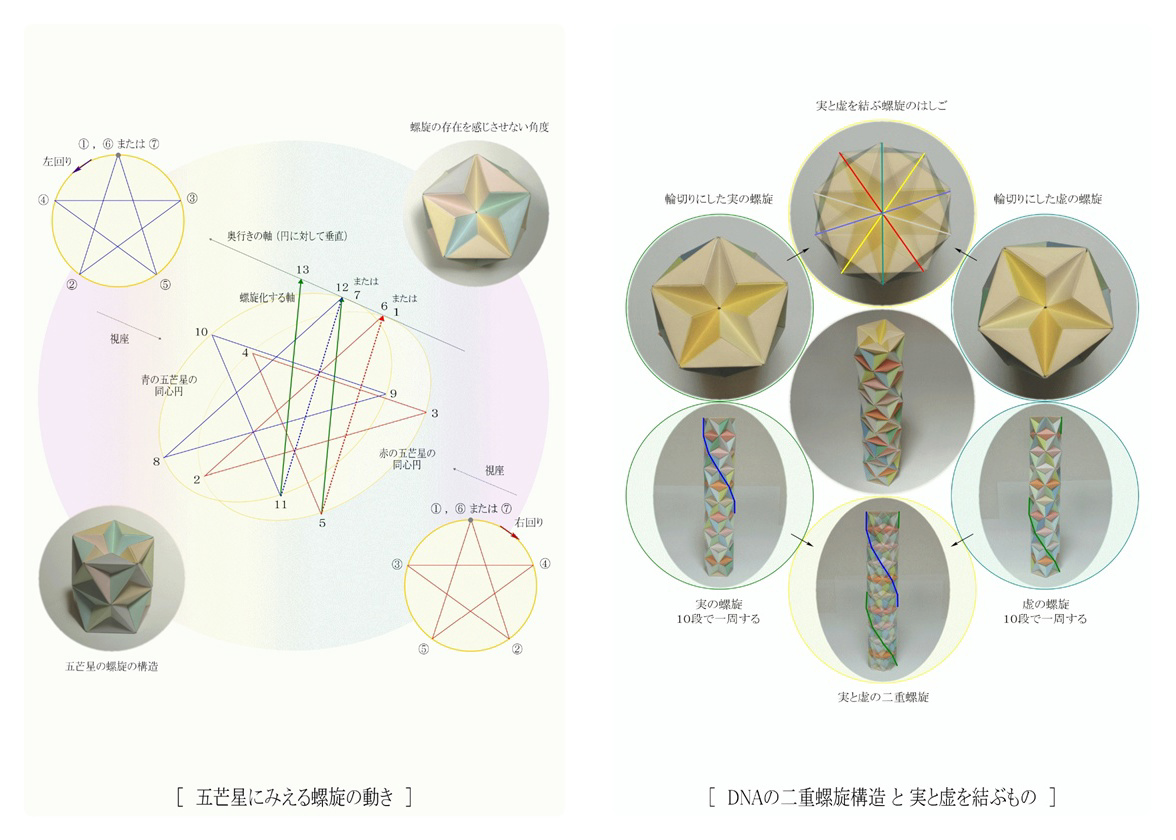 マリィ・ド・メディシーナの作品 「神聖幾何学と意識の進化」 | フォト