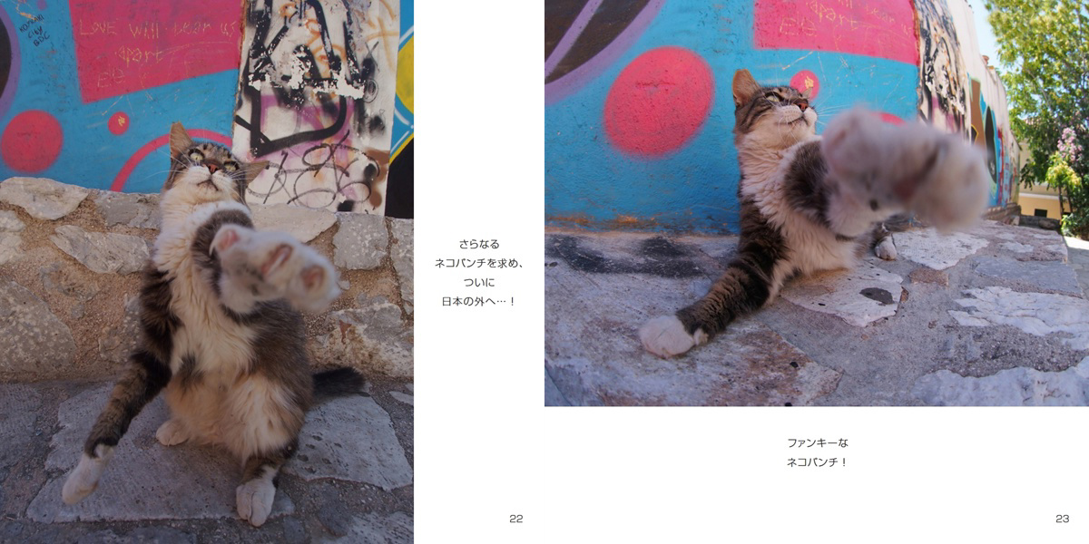 montandcat( 通勤ネコ)の作品 「ぱんちネコ猫ねこパンチ」 | フォト