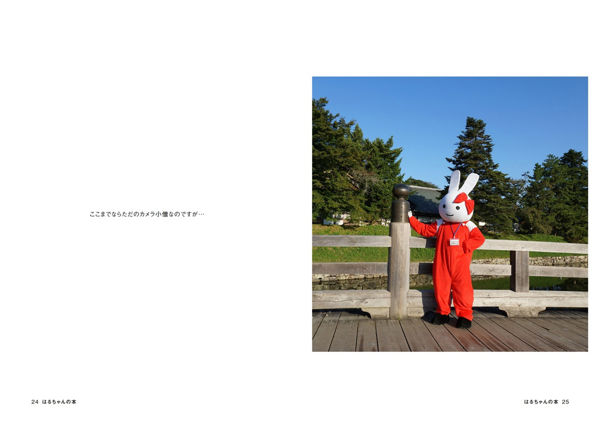 AZ FLASHの作品 「はるちゃんの本」 | フォトブック・フォト（写真