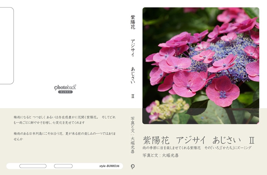 あじさいさま専用CD書きこみ マ*ア様 特選 紫陽花 5寸6種6鉢 アジサイ