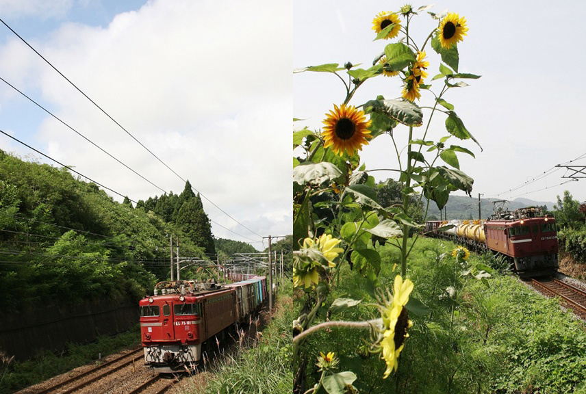 作者不詳●鉄の重厚感のあるお洒落な 写真立てです！● 緑の風の作品 「ED75型電機」 | フォトブック・フォト（写真）アルバム