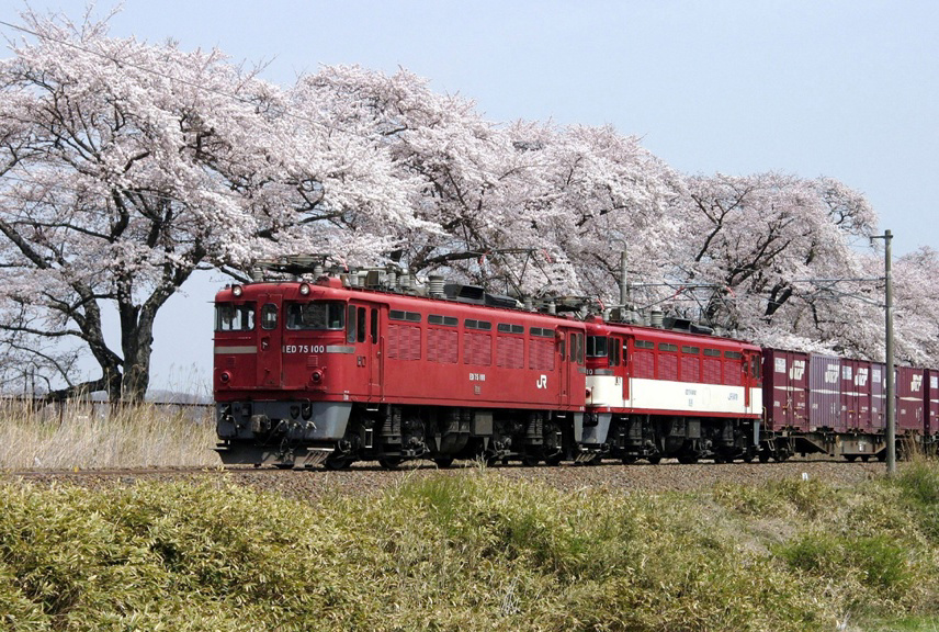 緑の風の作品 「ED75型電機」 | フォトブック・フォト（写真）アルバム