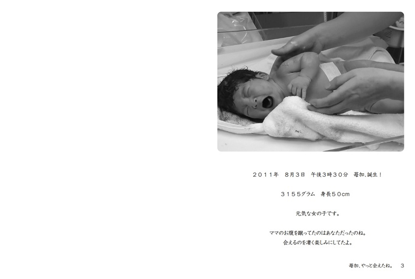 nomurinの作品 「苺加、やっと会えたね。」 | フォトブック・フォト