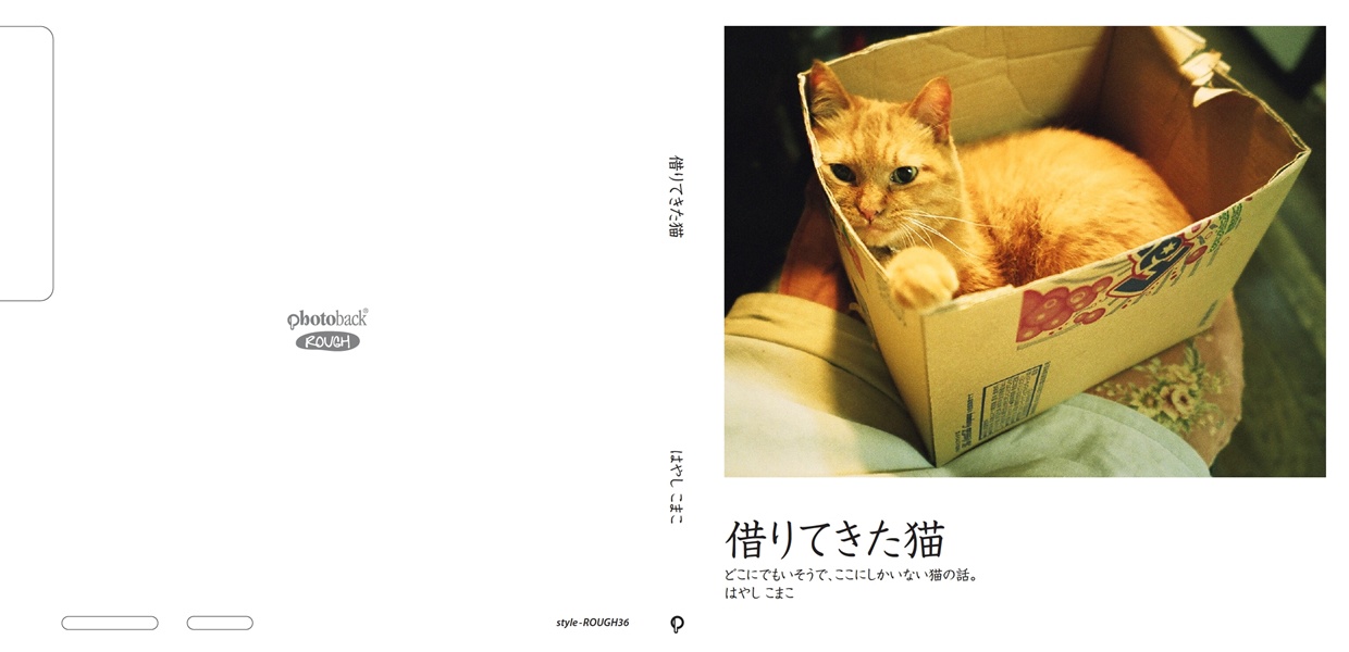 komakoの作品 「借りてきた猫」 | フォトブック・フォト（写真