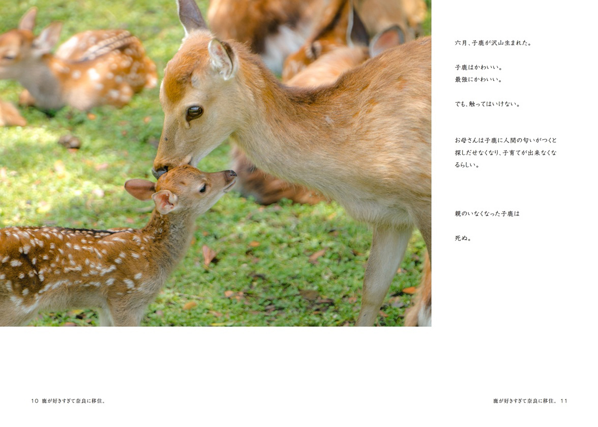 水本の作品 「鹿が好きすぎて奈良に移住。」 | フォトブック・フォト