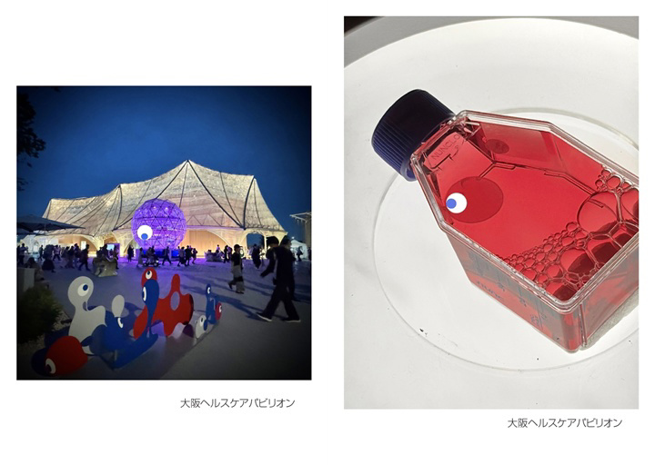 Yoko Mizuikeの作品 「大阪・関西万博こみゃく化計画」 | フォトブック