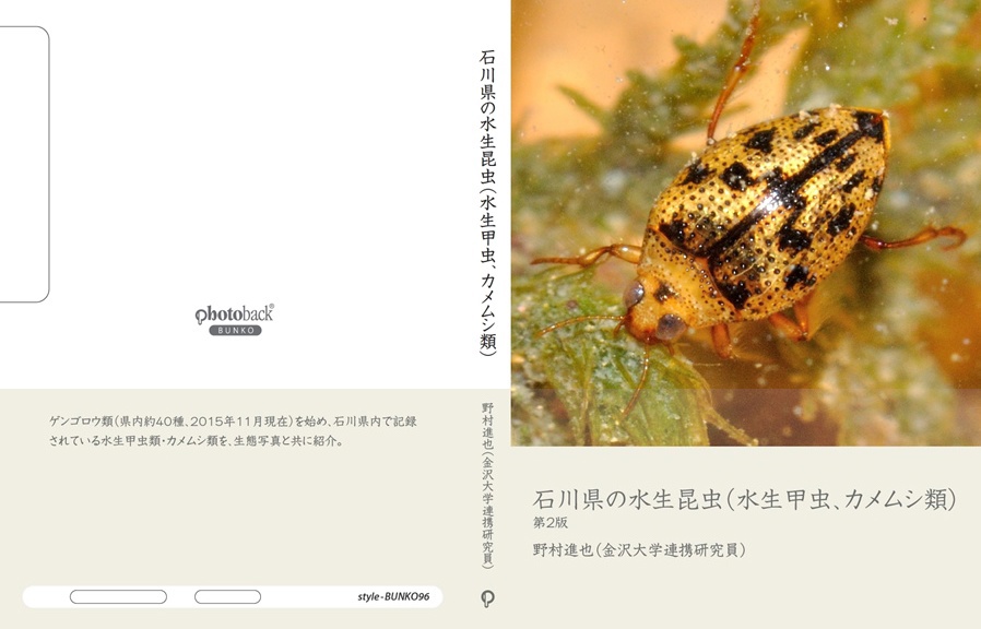 げんの作品 「石川県の水生昆虫（水生甲虫、カメムシ類）」 | フォト