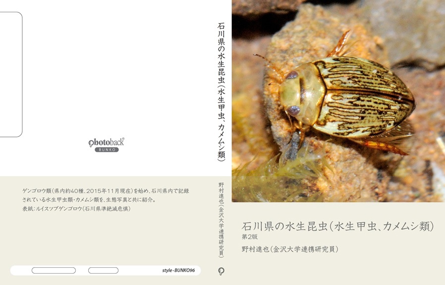 げんの作品 「石川県の水生昆虫（水生甲虫、カメムシ類）」 | フォト