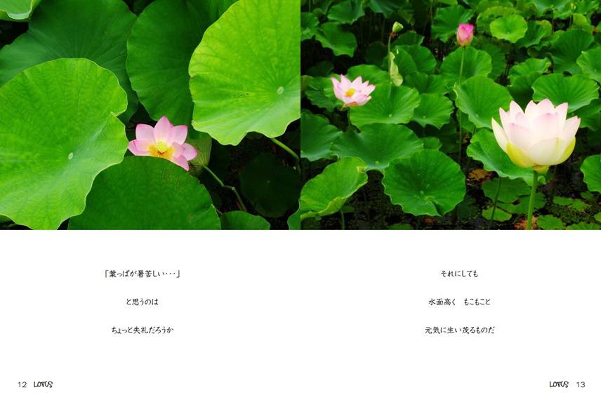 ikekazの作品 「Lotus」 | フォトブック・フォト（写真）アルバム作成