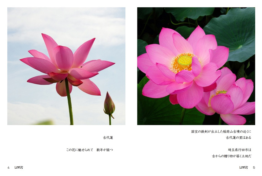ikekazの作品 「Lotus」 | フォトブック・フォト（写真）アルバム作成