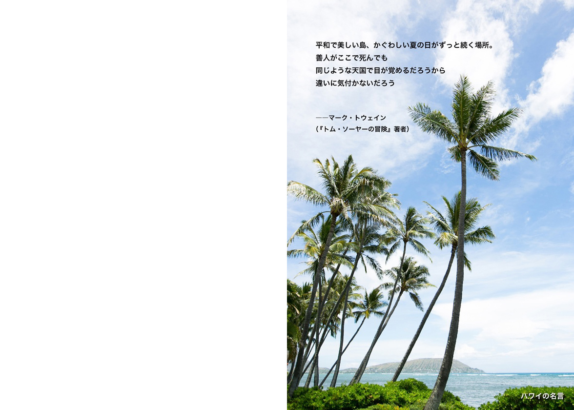 ☆Hawaiian自然素材のアルバム☆