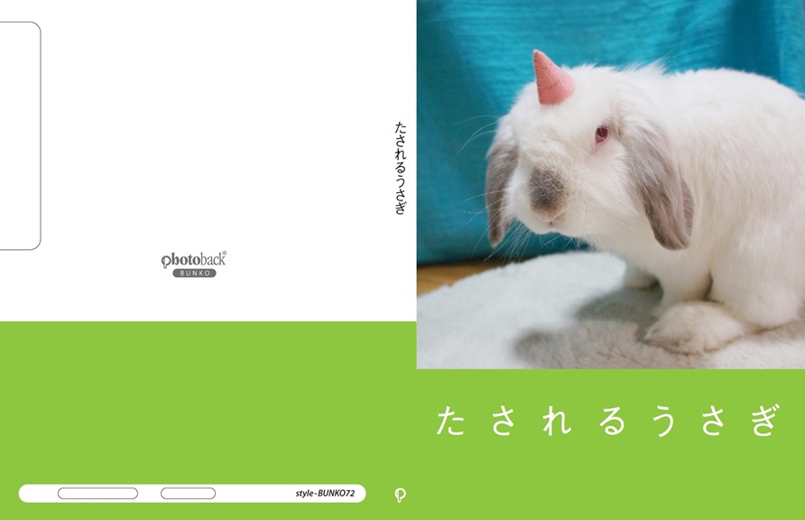 モカッチャの作品 「たされるうさぎ」 | フォトブック・フォト（写真