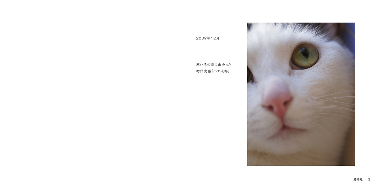 はにままの作品 「愛猫録」 | フォトブック・フォト（写真）アルバム