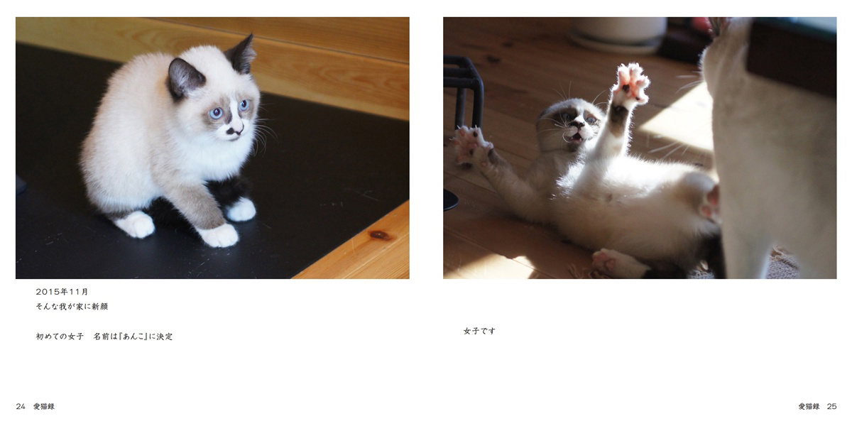 はにままの作品 「愛猫録」 | フォトブック・フォト（写真）アルバム