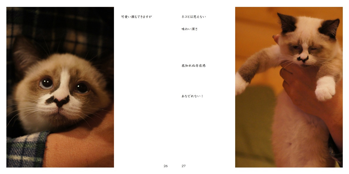 はにままの作品 「愛猫録」 | フォトブック・フォト（写真）アルバム