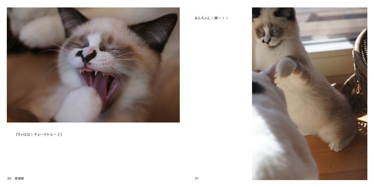 はにままの作品 「愛猫録」 | フォトブック・フォト（写真）アルバム
