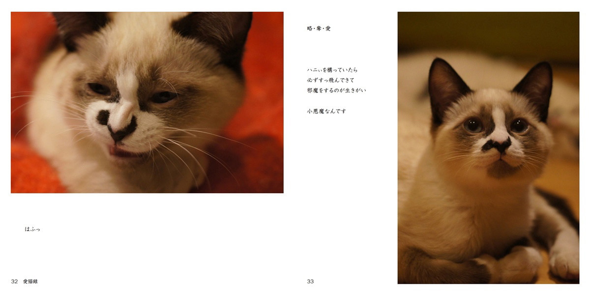 はにままの作品 「愛猫録」 | フォトブック・フォト（写真）アルバム