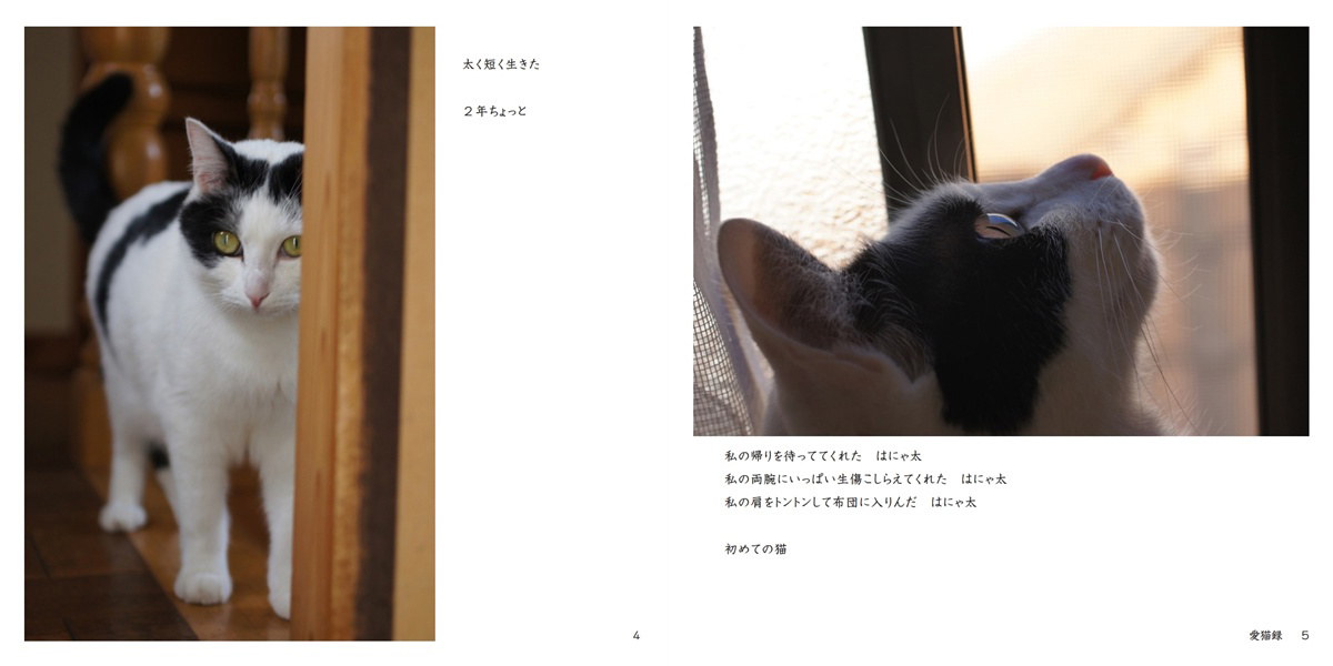 はにままの作品 「愛猫録」 | フォトブック・フォト（写真）アルバム