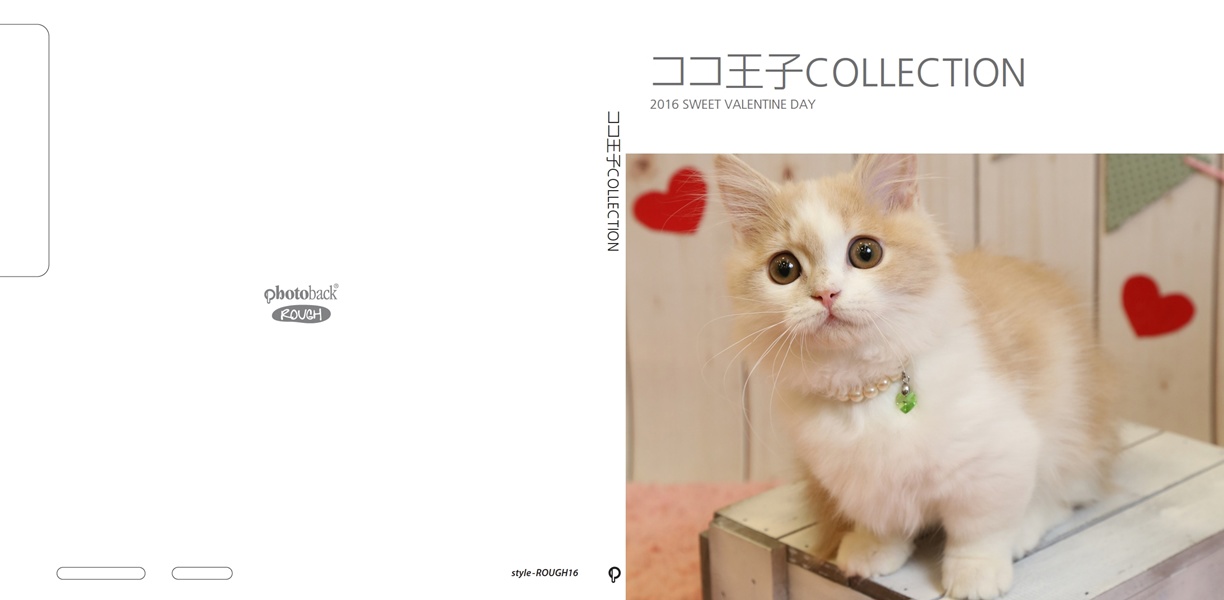 マンチカンのココ王子の作品 「ココ王子COLLECTION」 | フォトブック