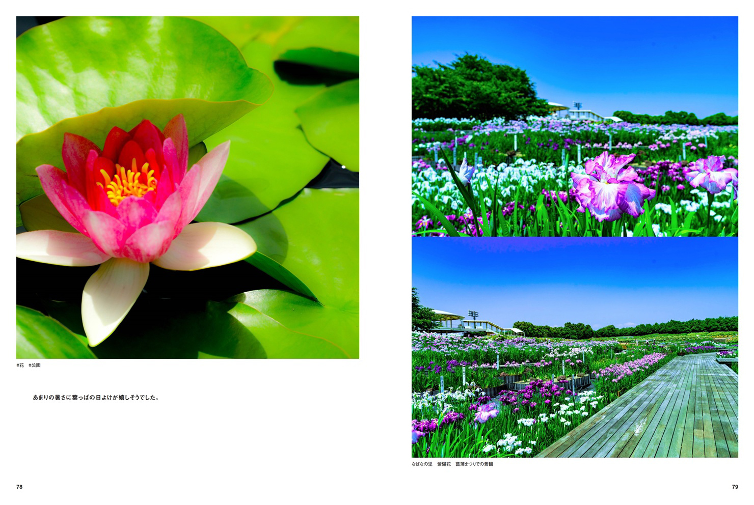 mk1ganの作品 「シニアカメラマンによる風景・花写真集」 | フォト
