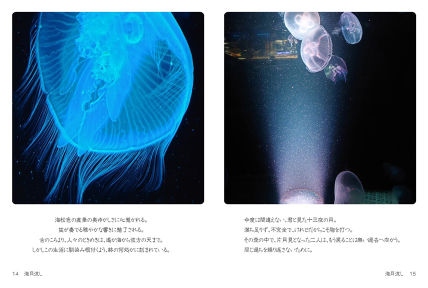 玉響の作品 「海月流し」 | フォトブック・フォト（写真）アルバム作成