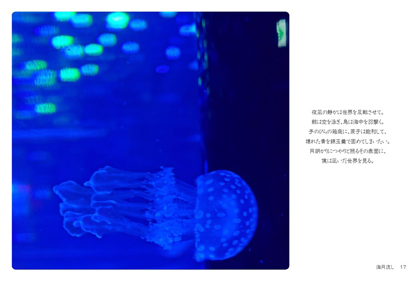 玉響の作品 「海月流し」 | フォトブック・フォト（写真）アルバム作成