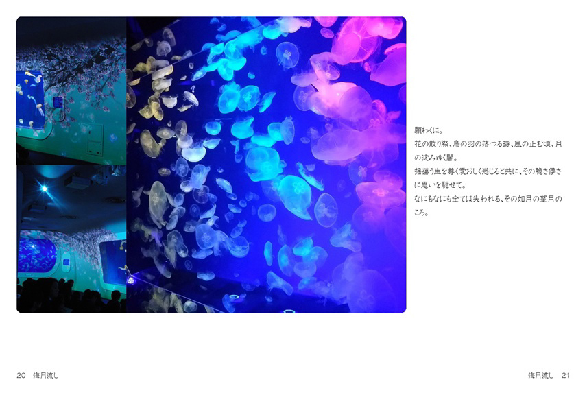 玉響の作品 「海月流し」 | フォトブック・フォト（写真）アルバム作成