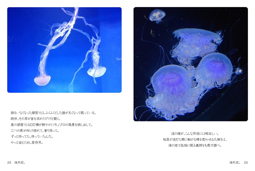 海月さま専用】キングダム 1〜53巻セット 映画公開記念俳優カバー付き